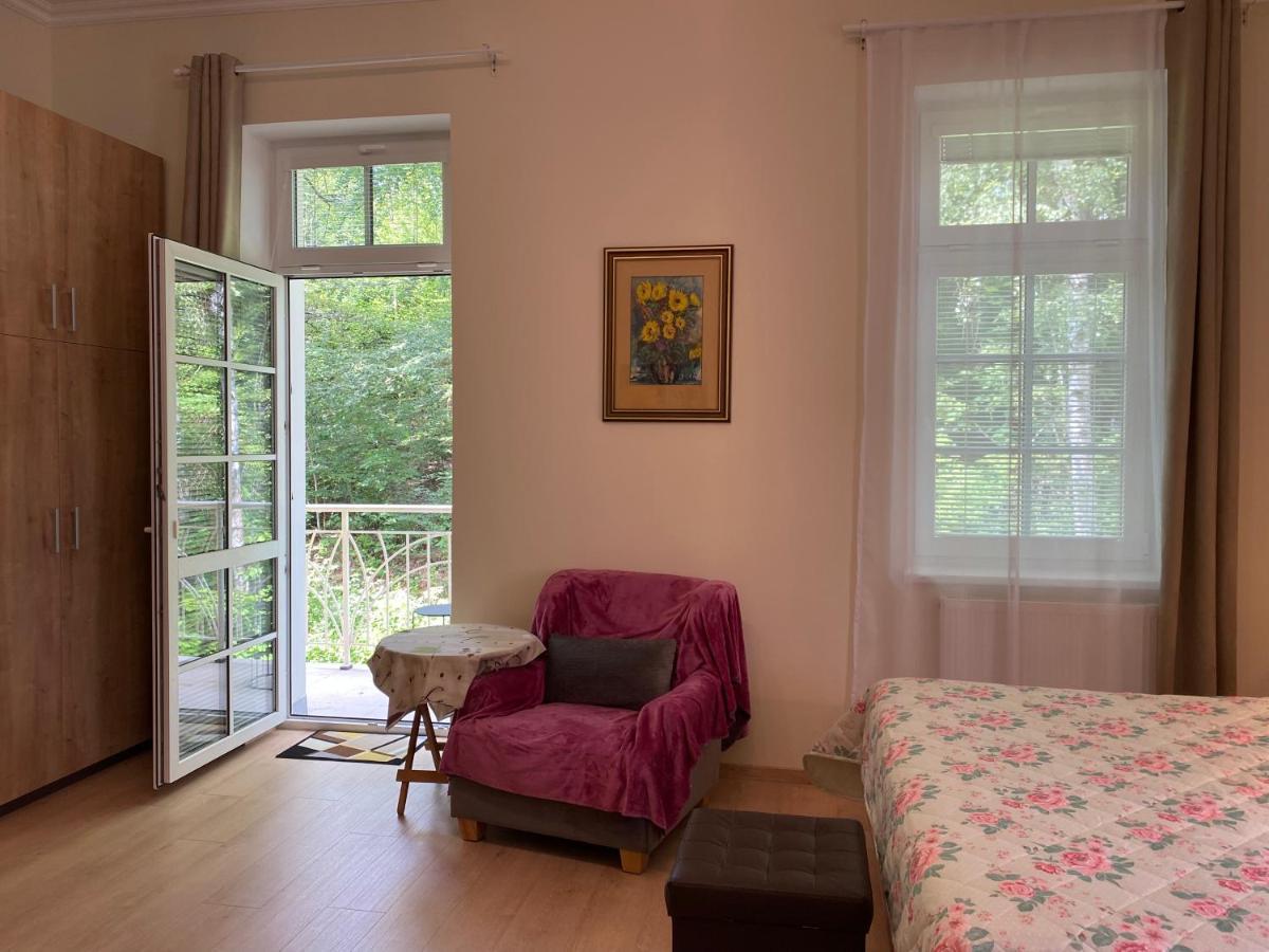 Ml Apartment マリアーンスケー・ラーズニェ エクステリア 写真